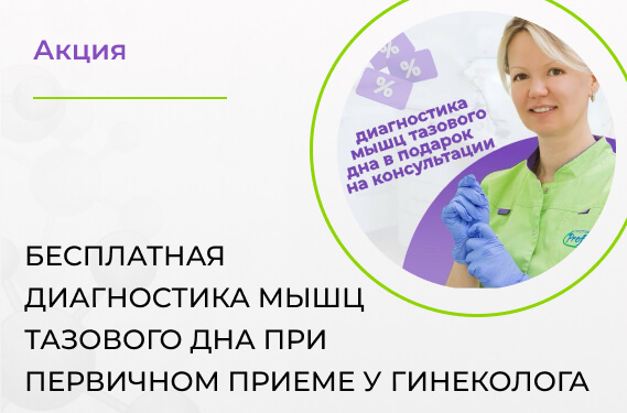 Бесплатная диагностика мышц тазового дна при первичном приеме у гинеколога