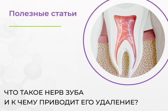 Что такое нерв зуба и к чему приводит его удаление?