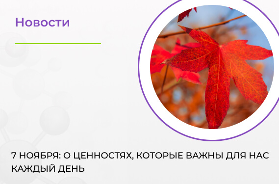 7 ноября: о ценностях, которые важны для нас каждый день