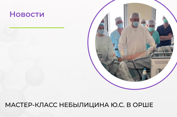 Мастер-класс Небылицина Ю.С. в Орше