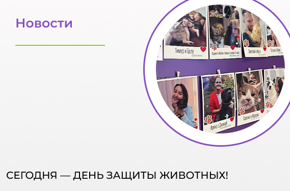 Сегодня — День защиты животных!